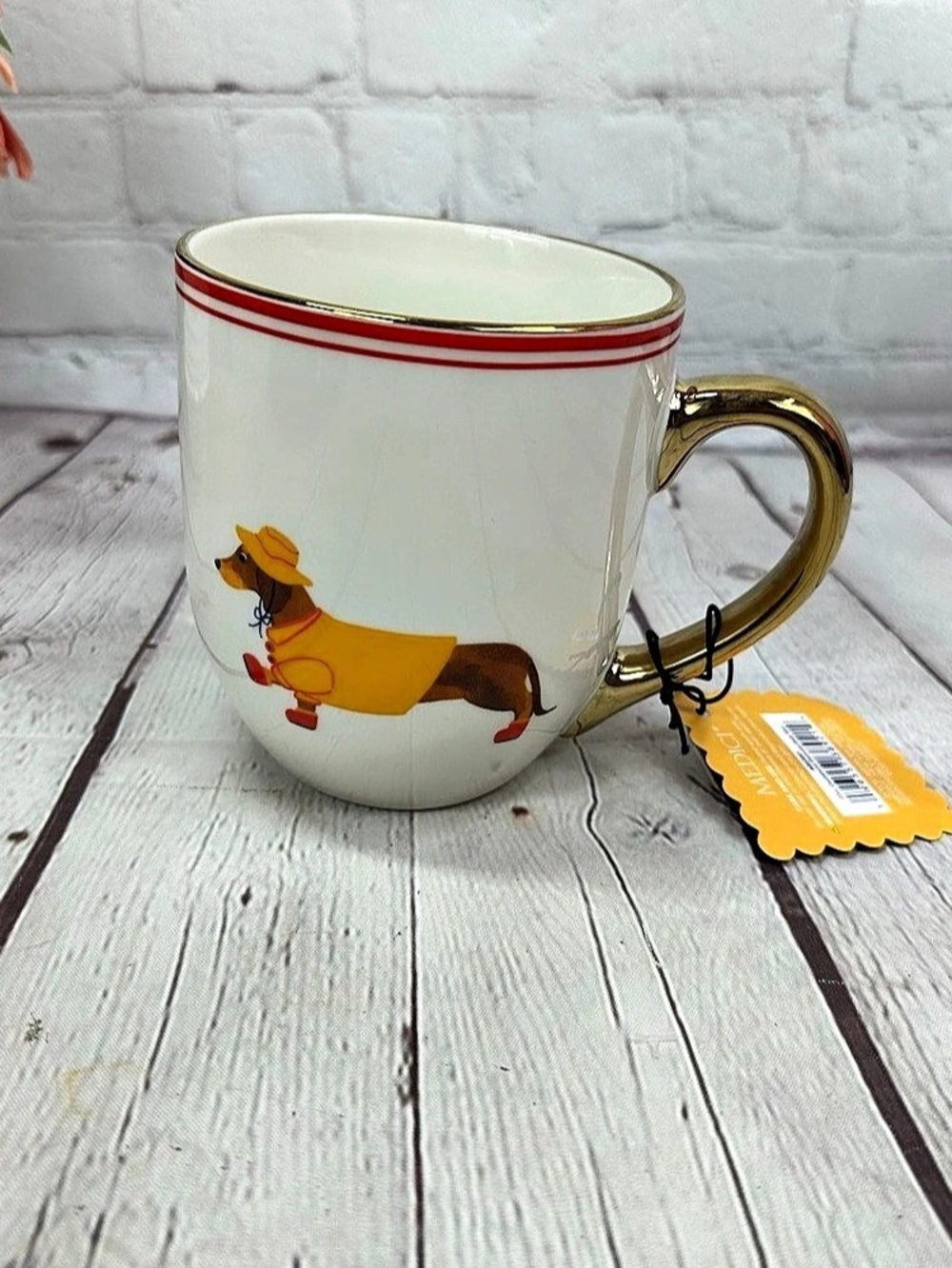 Medici Dachshund Raincoat Belly Mug kitchy cottage boho doxie weenie dog dog mom